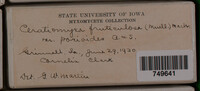 Image Associated With the Occurence